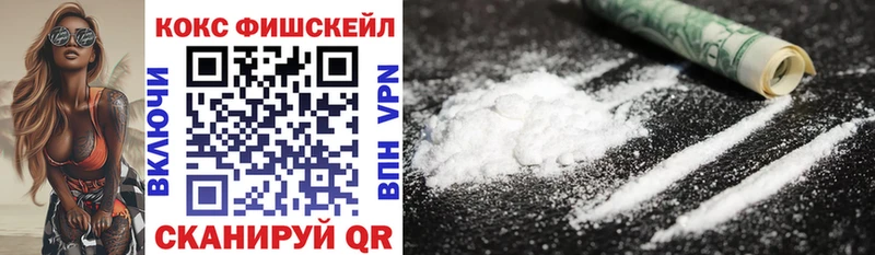 COCAIN Fish Scale  дарнет шоп  Суровикино 