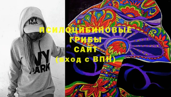 соль ск Арсеньев